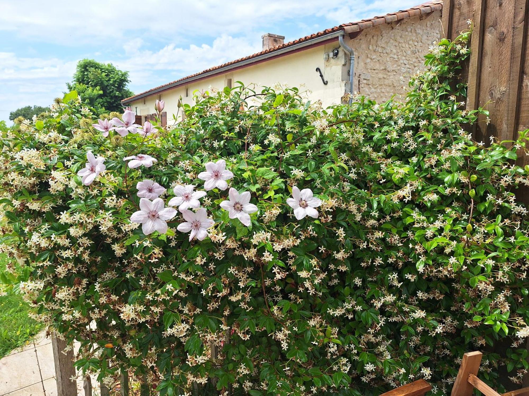 Gite Cosy Grand Confort Dans Un Ecrin De Verdure Agudelle Eksteriør bilde