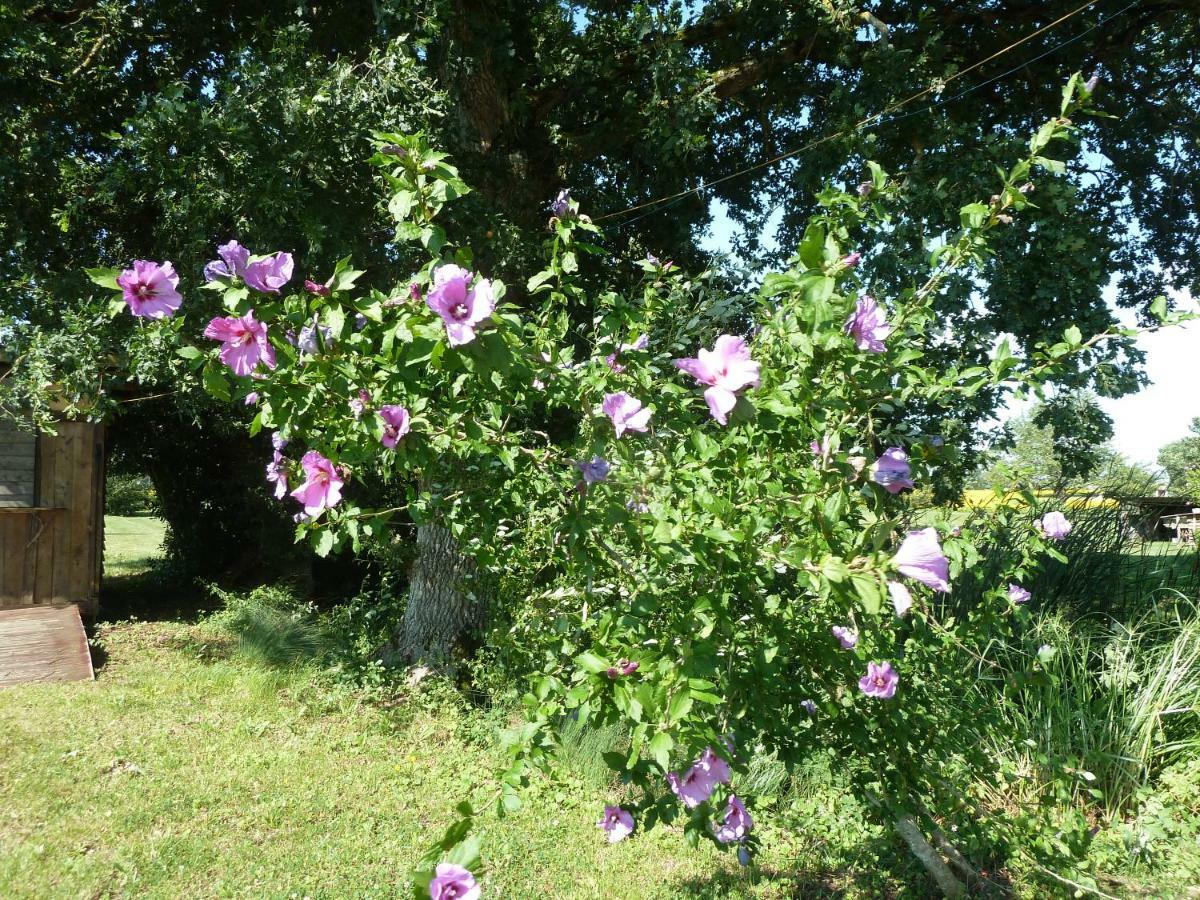 Gite Cosy Grand Confort Dans Un Ecrin De Verdure Agudelle Eksteriør bilde